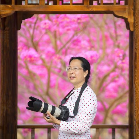 2021回顾（上半年，游荡于花前树下）