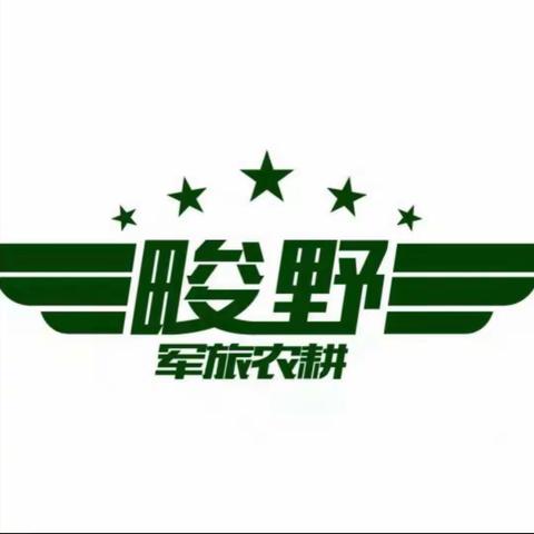 采拾田间野趣，寻味返璞归真—畯野文化园“六一”特别节目