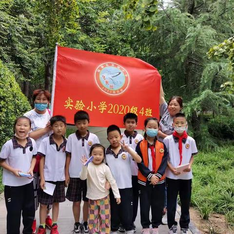 探索树叶的奥秘！---实验小学2020及四班四组暑期社会实践
