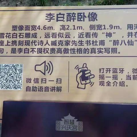 段世康的西安之旅（兴庆公园一游）