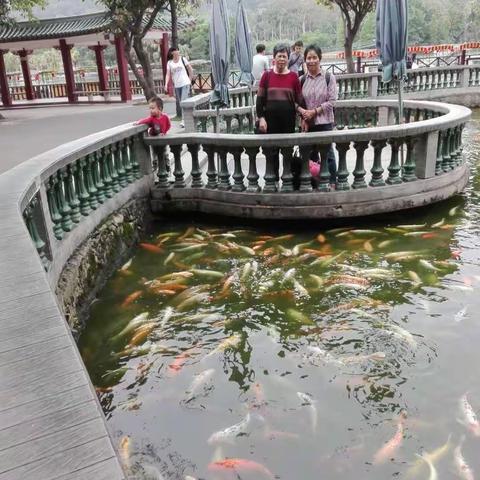 前進中學一班同學旅遊影集、黃文炎同學制作。（副本）