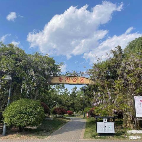 养护日志3月1日