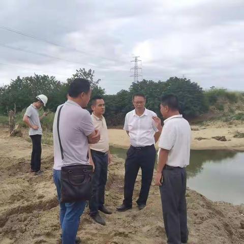 市委常委、副市长陈华强同志到八所镇调研指导农村黑臭水体治理工作