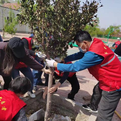 春暖花开 “植德”期待