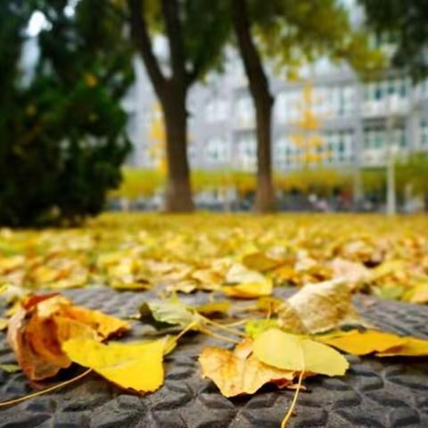 少年的美好时光