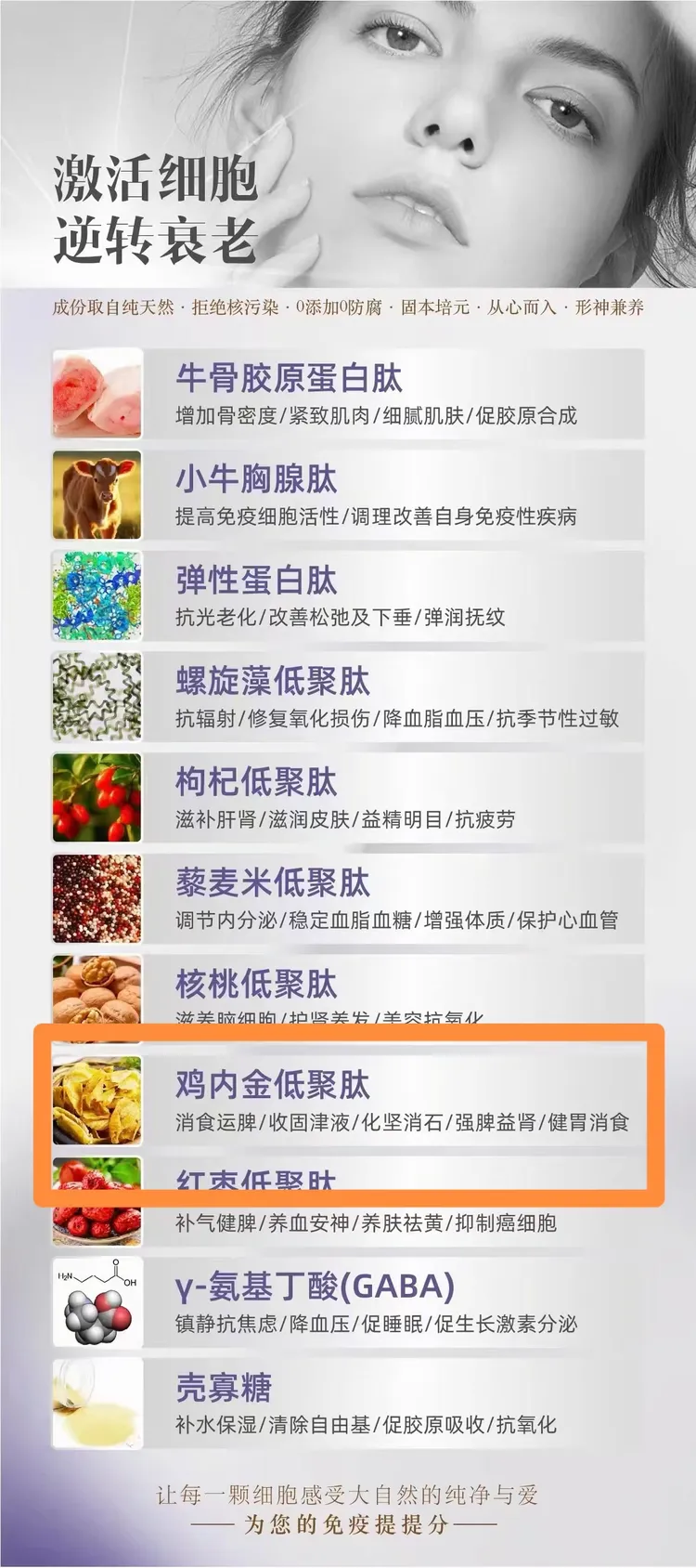 九元淳肽之小分子活性肽的重要性