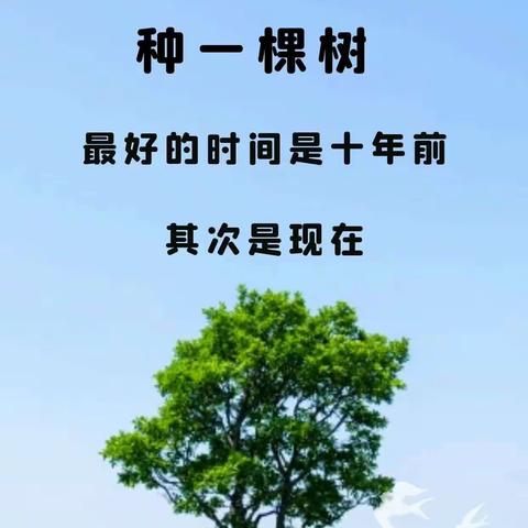 教研相长，砥砺前行——榆树特教“学者型”教师工作坊在行动