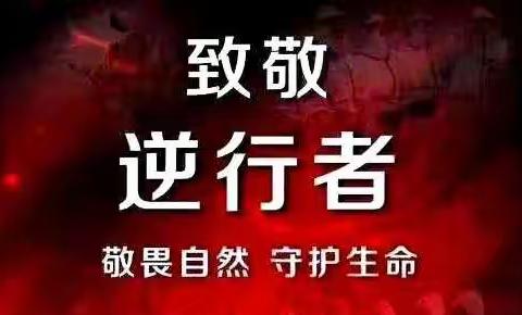 宾县糖坊镇中心学校一年一班集体倡议:抗击疫情人人有责，从我做起，消灭病毒，国人安康。