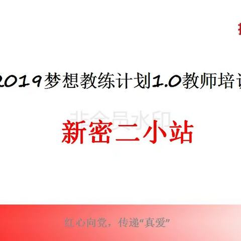 新密市市直第二小学2019年暑期梦想一星教师培训活动纪实