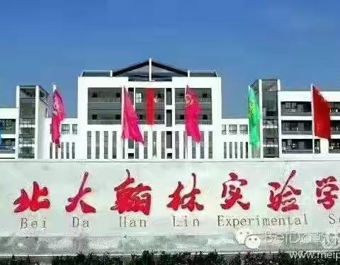 学科竞赛提素养 优生引领促提升——北大翰林实验学校初中部学科培优活动展