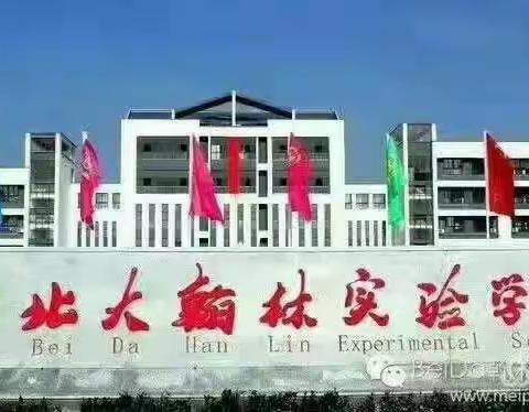 停课不停学，学习不延期——正阳县北大翰林实验学校初中部“停课不停学”活动小结