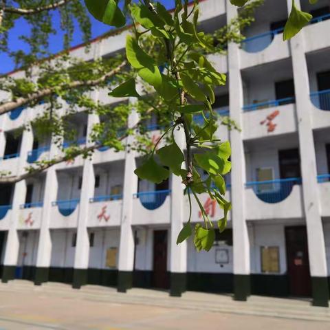消防演练为实战，校园安全筑基石