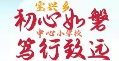 初心如磐，笃行致远———宝兴小学参加班主任基本功培训活动纪实