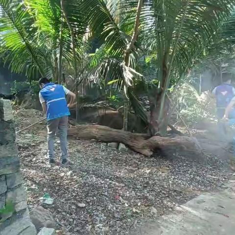 三柏村开展环境卫生整治志愿服务活动