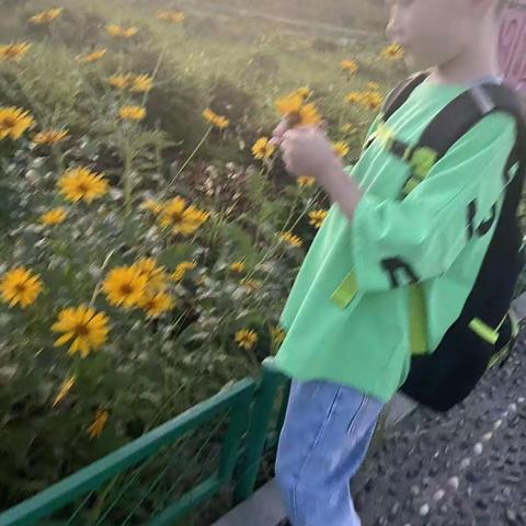 快乐暑假好时光 收货满满乐成长