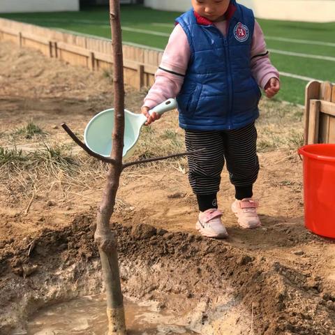 洪恩小雪老师的美篇