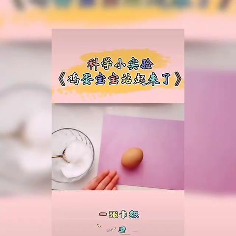 黔江睿思幼儿园小二班科学活动—蛋宝宝🥚站起来了