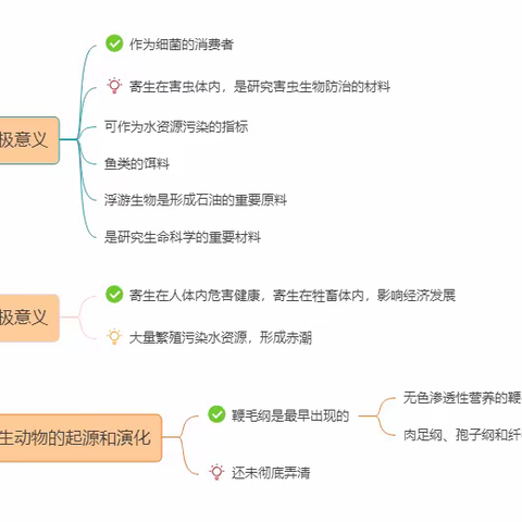 动物学第一次汇报