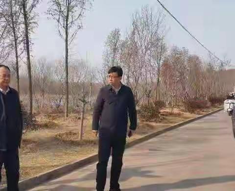 金山街道2月23日工作动态