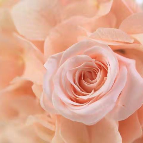 半生花开，半世花落