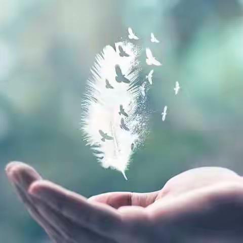 愿光阴含笑，岁月静好