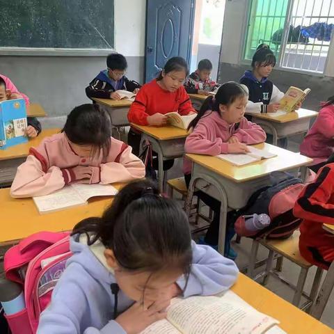 让读书走进童年，让童年飘逸书香——岭背镇太兴小学阅读记