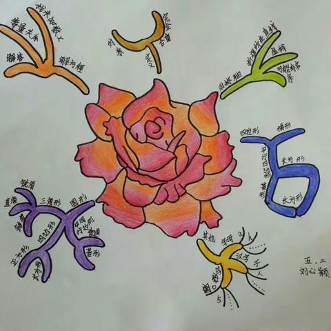 八一希望学校五年二班思维导图制作赛