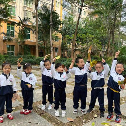 🍂自然课程-树叶的畅想🍂（11.21-11.25）