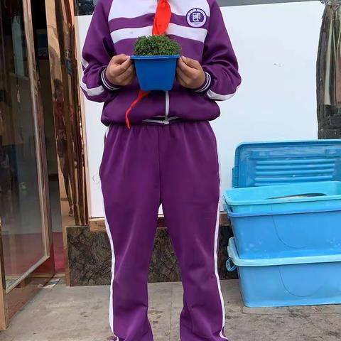 守护绿色   播种希望