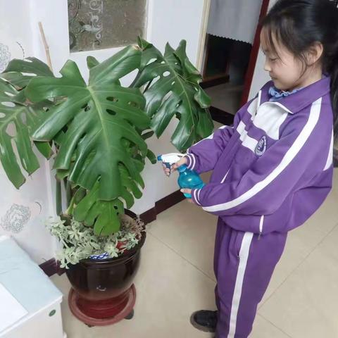 爱绿护绿，心中🈶雷锋