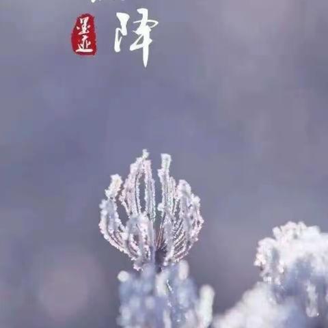 知节气，迎霜降——兴隆县第二幼儿园机灵豆组教师“说”节气