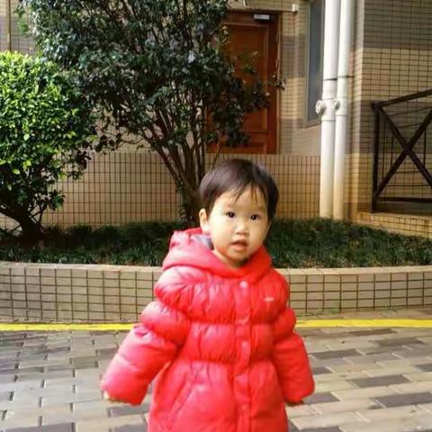 顺2015年一月开始的美照