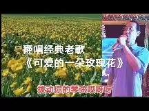 尤慕达的MV：翻唱经典老歌《可爱的一朵玫瑰花》