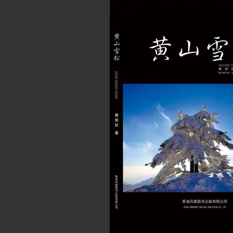 黄山雪松