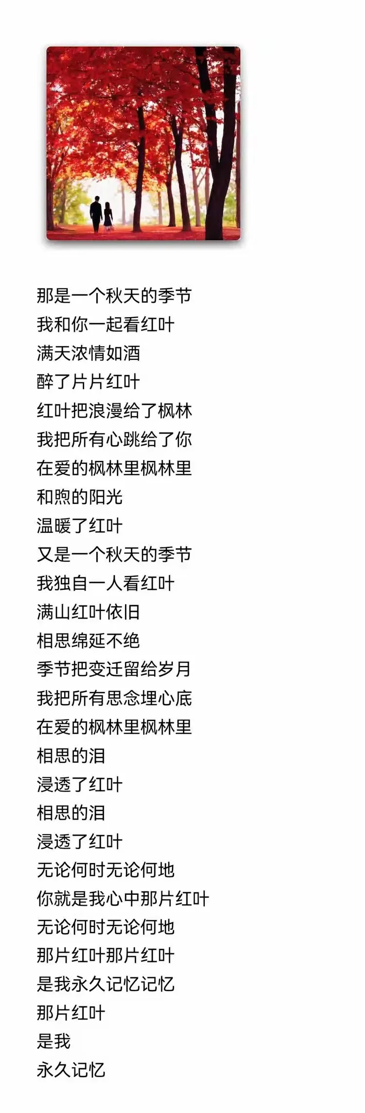 徐霞《那片红叶》音乐早安