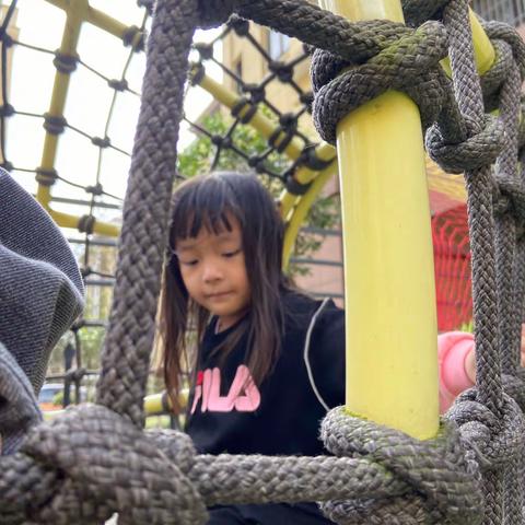 太阳花幼儿园中班美好家第七周精彩回顾