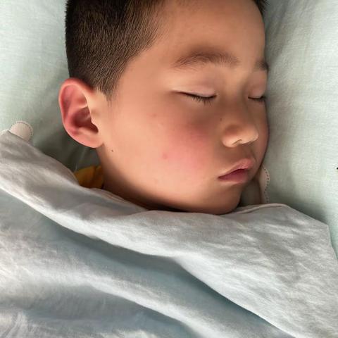 太阳花中班美好家之四月第三周