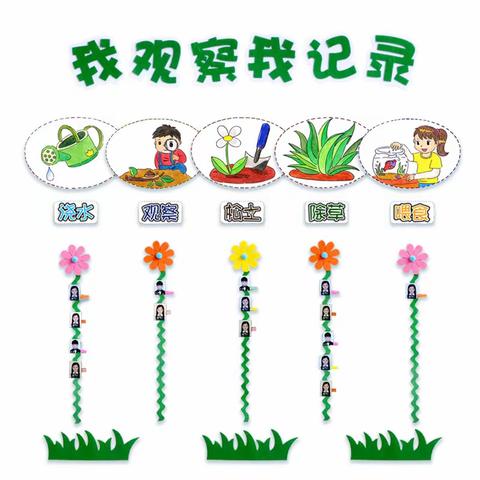 太阳花幼儿园中班美好家第八周精彩回顾