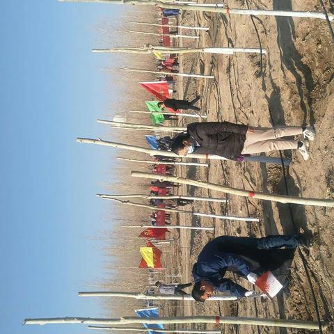 信访局参加全市秋冬季植绿护绿活动