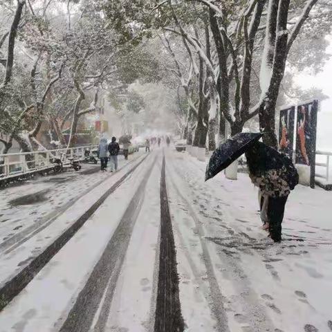 中洲乡低温雨雪天气安全出行告知书