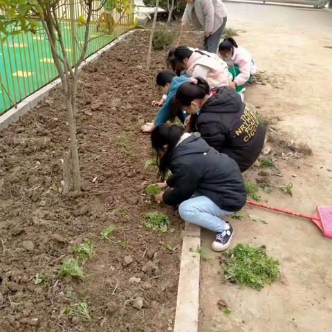 北岭镇彭沟涯小学植树节主题活动