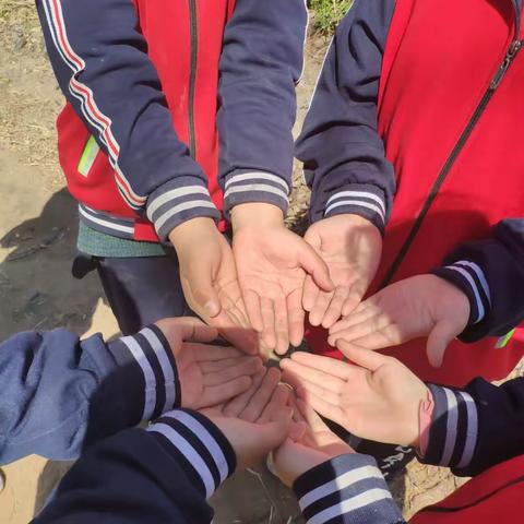 桃红梨白碧柳舞          梨园志愿把草锄——黄小三六班志愿小组活动