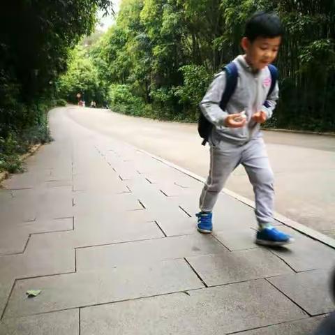 Let's go out for an outing