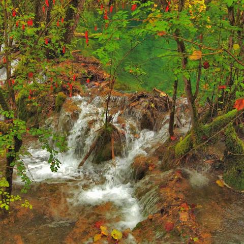 十月最完美的季节