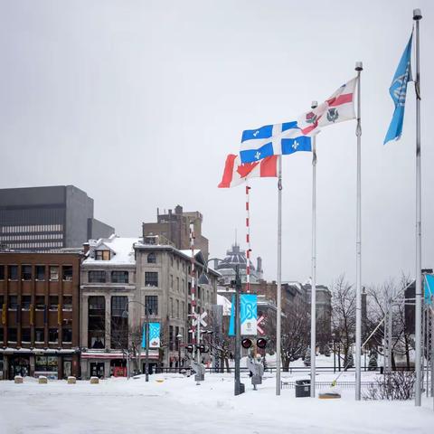 🐮牛年第一场大雪