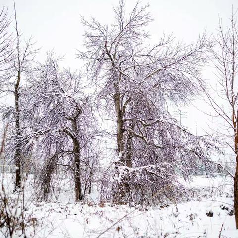 2021年的第一场大雪