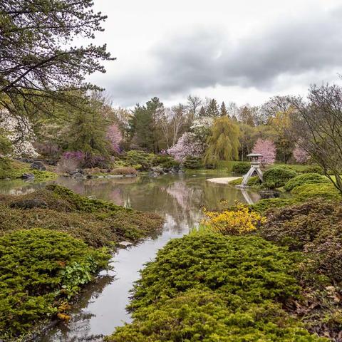 春雨里的植物园