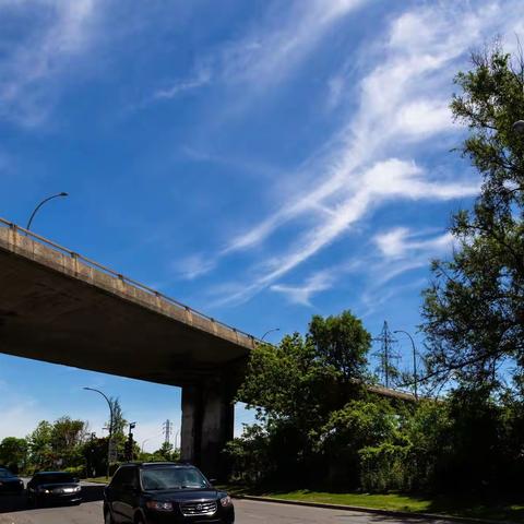 20200608-午间散步随拍