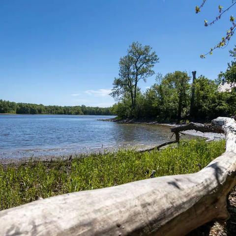 漫步cap-nature-St-Jacques公园