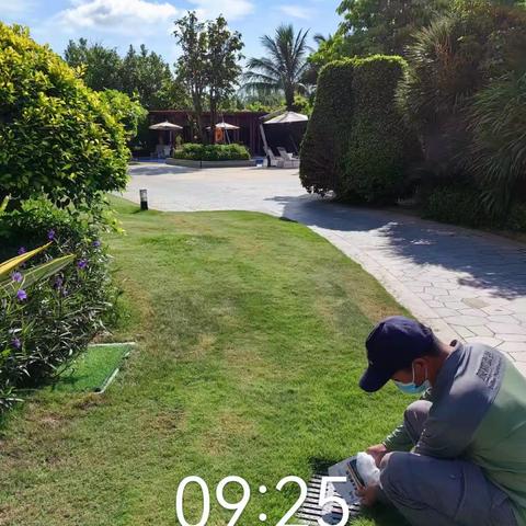 三亚仁恒皇冠假日酒店关于2023年07月15日开展《清洁家园防蚊灭蚊》夏秋季爱国卫生百日专项行动报告